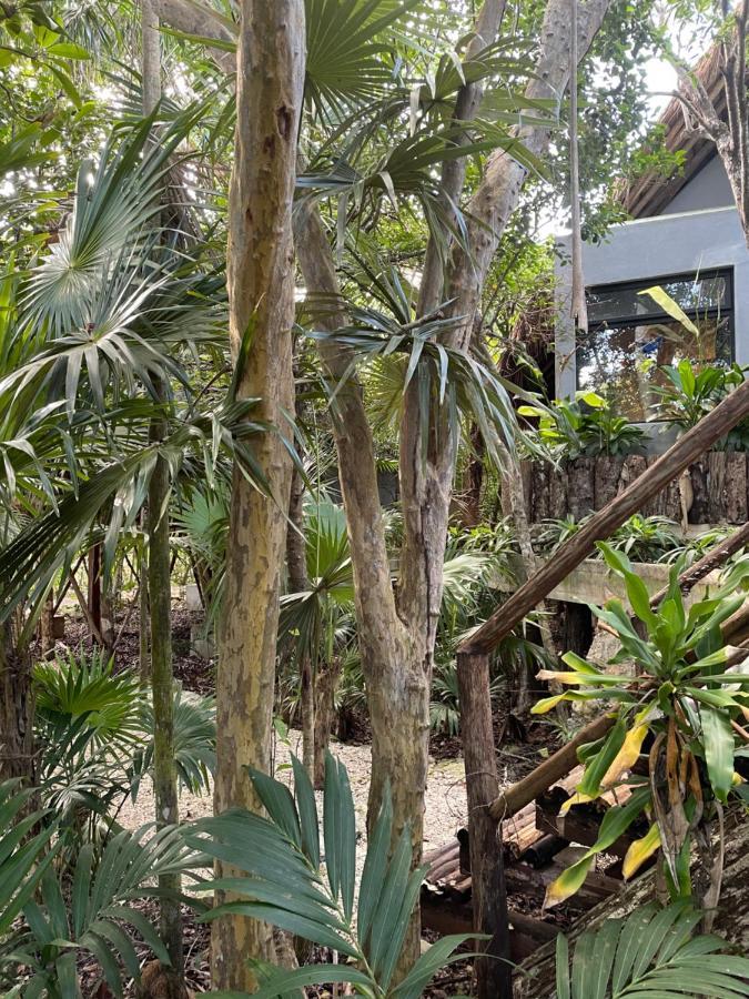 Hotel Roc Jungle Tulum Extérieur photo