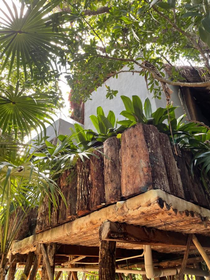 Hotel Roc Jungle Tulum Extérieur photo